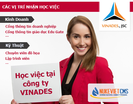 Học việc tại DiMua.vn