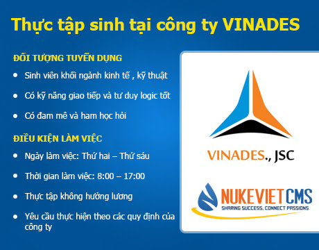 Chương trình thực tập sinh tại DiMua.vn